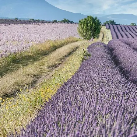 Gite Le Val Zen Valaurie - Drome Provencale Exterior foto